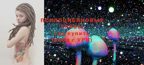 сатива Аркадак