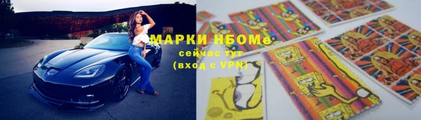сатива Аркадак