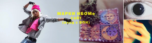 сатива Аркадак