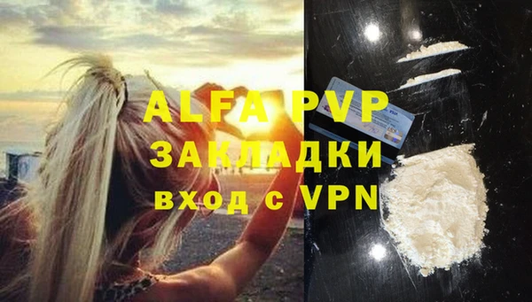 сатива Аркадак