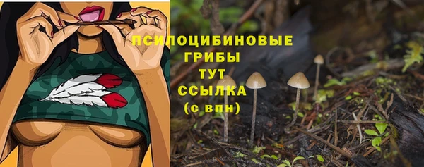 а пвп мука Арсеньев