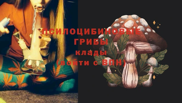 сатива Аркадак