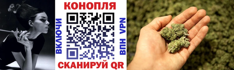 Бошки Шишки гибрид  где продают   Сибай 